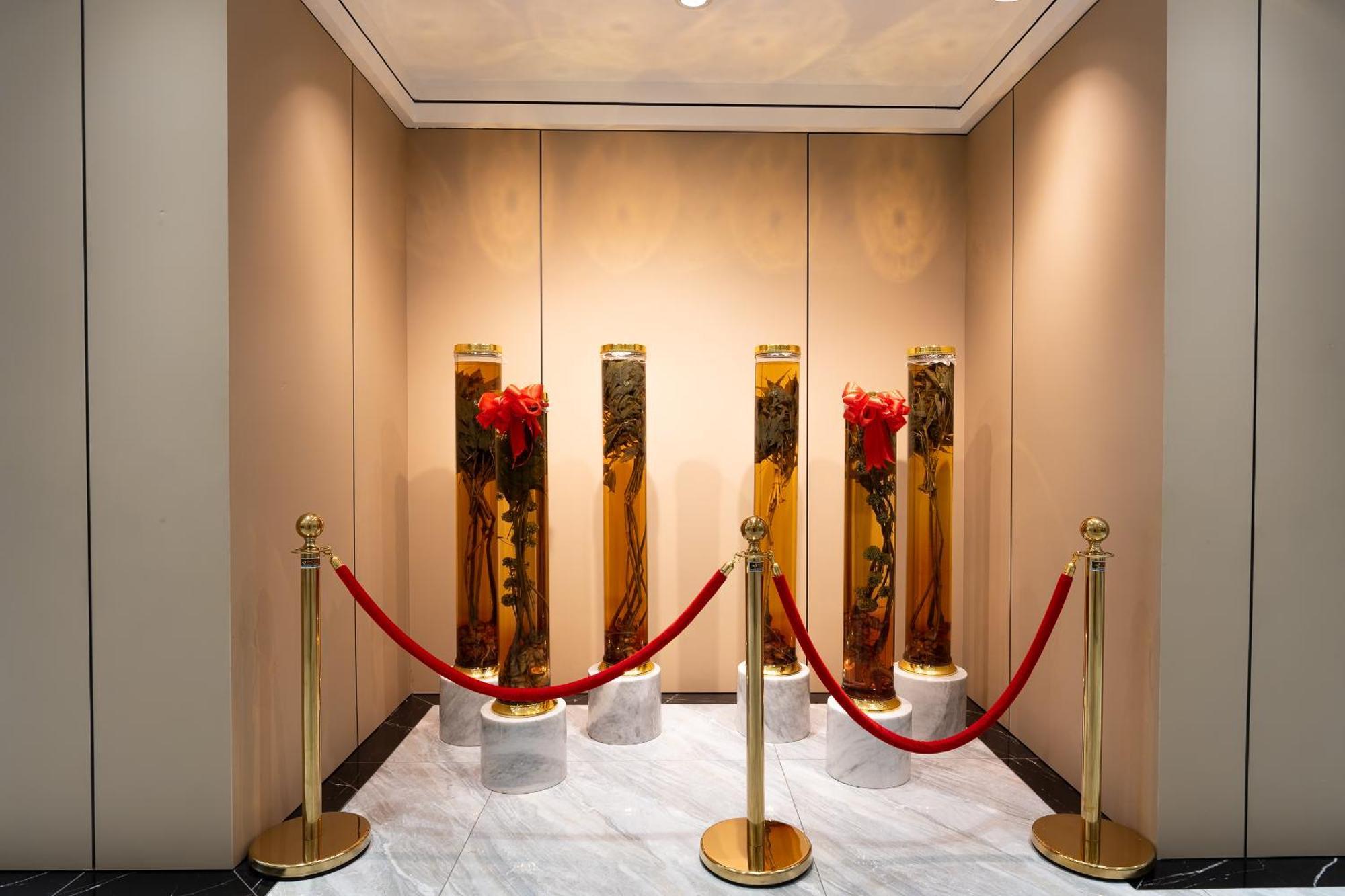 International Hotel 3*